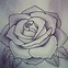 Image result for 5 Roses Drawings