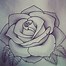 Image result for Free Rose Designs