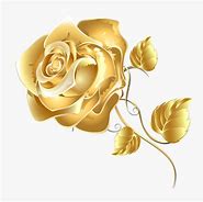 Image result for Gold Rose No Background