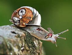 Image result for Robot Gary Snail