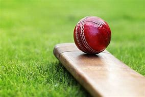 Image result for Cricket Bat with Red Ball and White Background