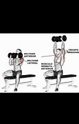 Image result for Chest and Arms Workout