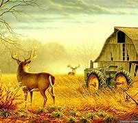 Image result for Country Background Designs