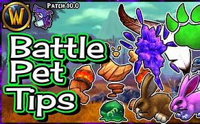 Image result for Gnomelia Battle Pet