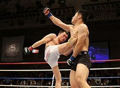 Image result for Sus MMA