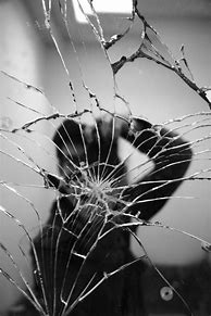 Image result for Broken Mirror Fragments Reflection