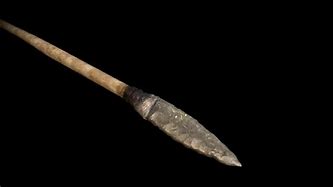 Image result for Prehistoric Spear