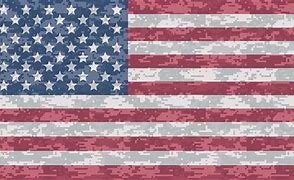 Image result for Camo American Flag