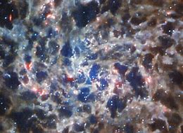 Image result for Hubble Telescope Spiral Galaxy