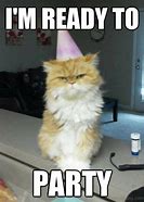 Image result for Party Animal Funny Meme