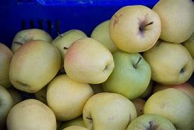 Image result for Yellow Apple Cut