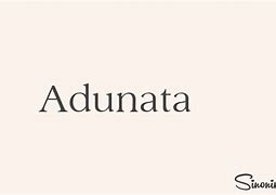Image result for adiunta