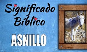 Image result for asnillo