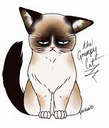 Image result for Grumpy Cat Galaxy Wallpaper