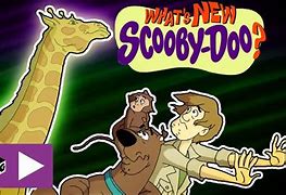 Image result for What's New Scooby Doo Animals