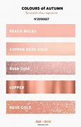 Image result for Rose Gold Color Number