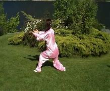 Image result for Tai Chi 24 Form Rear View