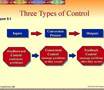 Image result for Cybernetic Control Model
