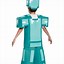 Image result for Minecraft Armor Costume Kid