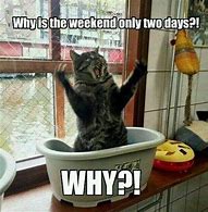 Image result for 5 Day Weekend Meme