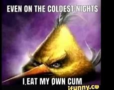 Image result for Cute Funny Bird Memes