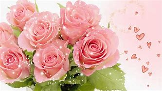 Image result for Live Wallpaper Pink Roses