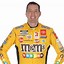 Image result for Kyle Busch Costume