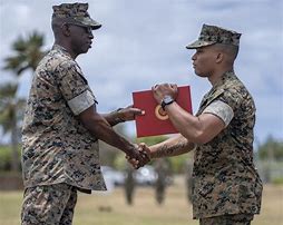 Image result for LCPL Roe Marine Corp