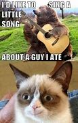 Image result for Grumpy Cat Died Memes