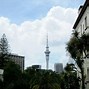 Image result for Google Auckland