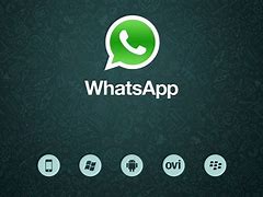 Image result for Whatsapp Contact