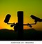 Image result for CCTV Silhouette