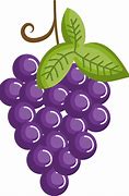 Image result for JPEG of Grapes On Vine