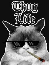 Image result for Meme Template Thug Life