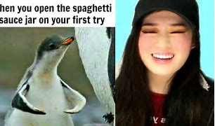 Image result for Memes to Make You Laugh Videos
