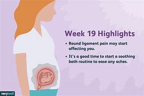 Image result for 19 Weeks Pregnant Symptoms