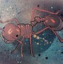 Image result for Ant Art