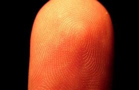 Image result for Fingerprints Patterns and Classifications