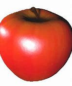 Image result for Cooking Apples Variety