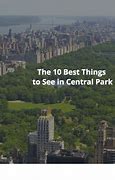 Image result for Central Park New York City