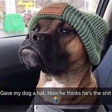 Image result for Dawg Meme Animal