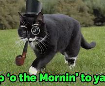 Image result for Cat in the Hat Good Morning Meme