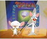 Image result for Pinky and the Brain Experiments
