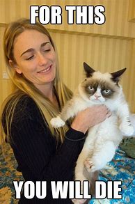 Image result for Grumpy Cat Yes Meme