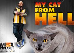 Image result for My Cat From Hell TV Show