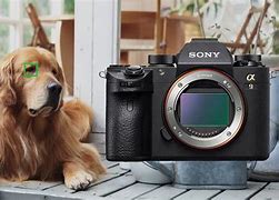 Image result for Sony A9 Camera Clip Art