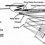 Image result for Focal Plane Assembly