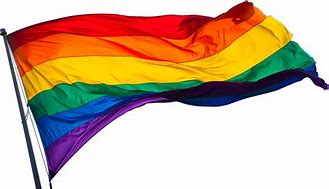 Image result for LGBT Flags and Names