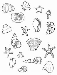 Image result for Decorated Seashells