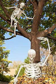 Image result for Funny Skeleton Poses for Halloween